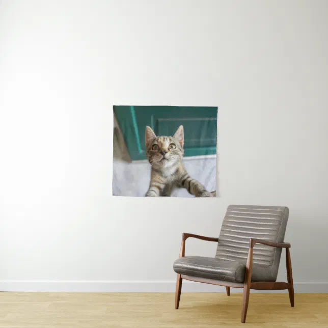 Cutest Baby Animals | Cute Tabby Kitten Tapestry | Zazzle