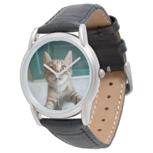 Cutest Baby Animals   Cute Tabby Kitten Watch