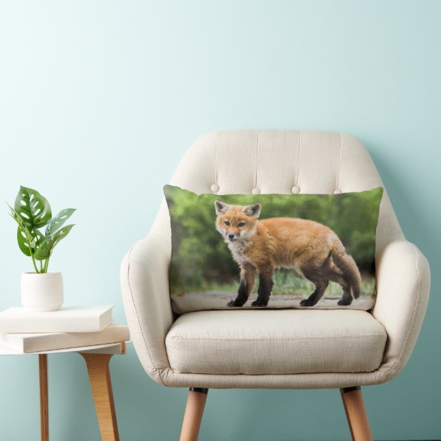 Cutest Baby Animals | Cutey Fox Lumbar Pillow (Chair)
