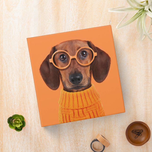 Cutest Baby Animals | Dachshund Orange Sweater 3 Ring Binder (In Situ)