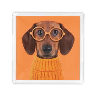 Cutest Baby Animals   Dachshund Orange Sweater Acrylic Tray