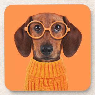 Cutest Baby Animals Dachshund Orange Sweater Beverage Coaster