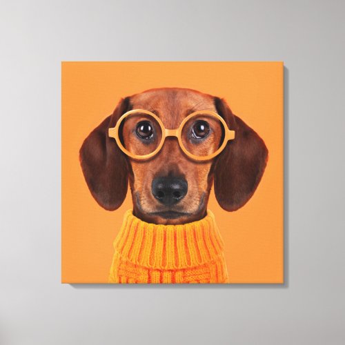 Cutest Baby Animals  Dachshund Orange Sweater Canvas Print