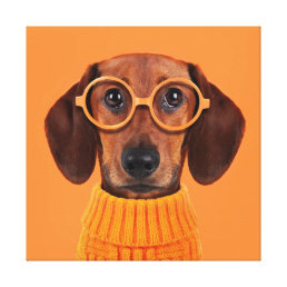 Cutest Baby Animals | Dachshund Orange Sweater Canvas Print