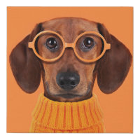 Cutest Baby Animals | Dachshund Orange Sweater