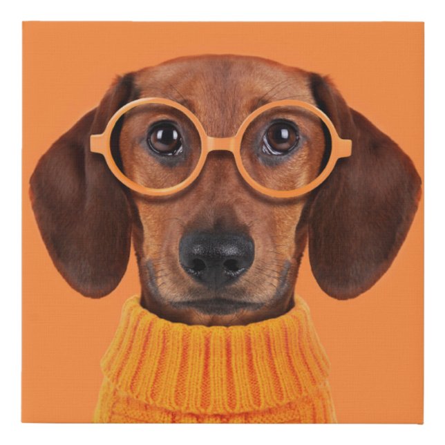Cutest Baby Animals | Dachshund Orange Sweater Faux Canvas Print (Front)