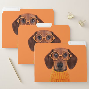 Cutest Baby Animals   Dachshund Orange Sweater File Folder