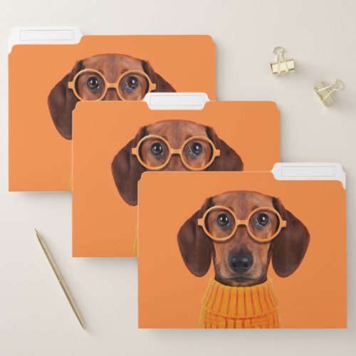 Cutest Baby Animals  Dachshund Orange Sweater File Folder