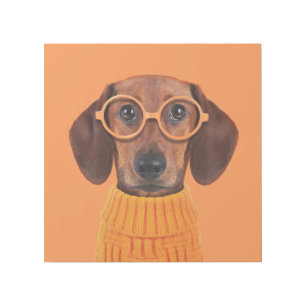 Cutest Baby Animals Dachshund Orange Sweater Gallery Wrap