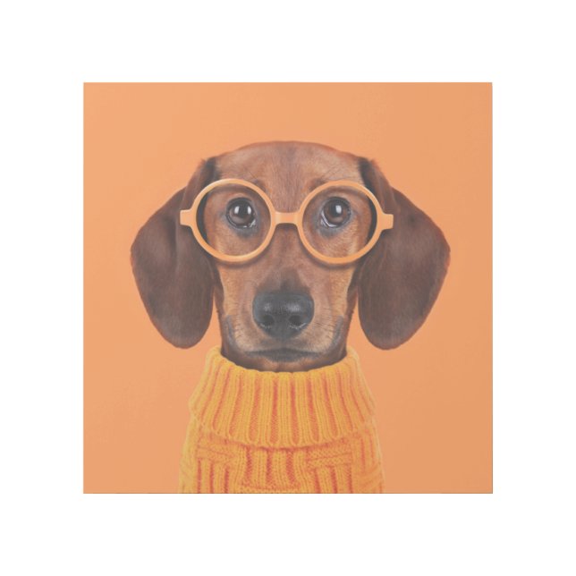 Cutest Baby Animals | Dachshund Orange Sweater Gallery Wrap (Front)