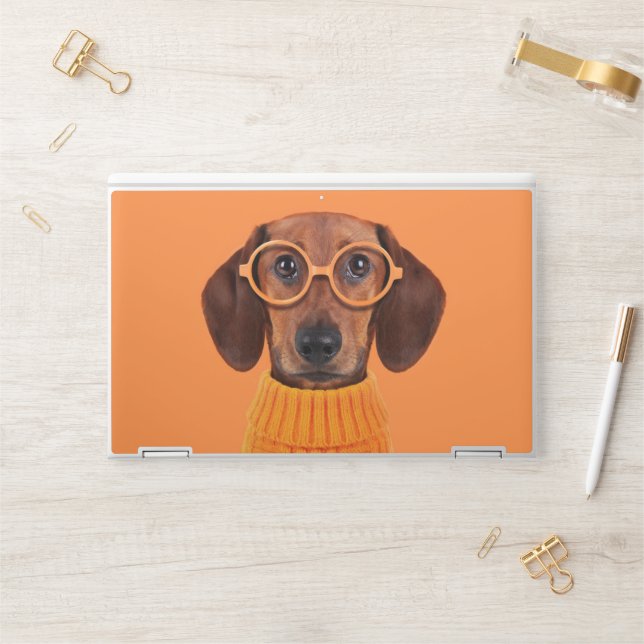 Cutest Baby Animals | Dachshund Orange Sweater HP Laptop Skin (Desk)