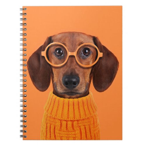 Cutest Baby Animals  Dachshund Orange Sweater Notebook