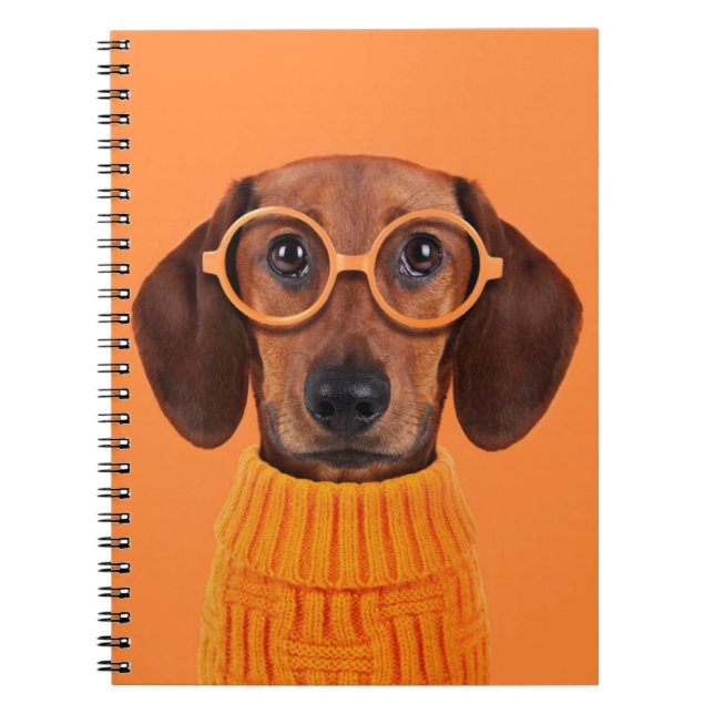 Cutest Baby Animals | Dachshund Orange Sweater Notebook (Front)