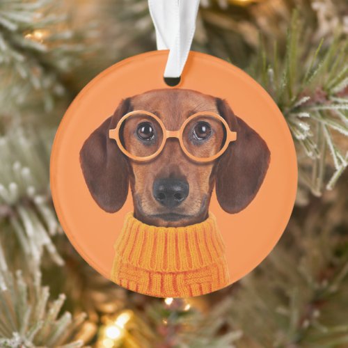 Cutest Baby Animals  Dachshund Orange Sweater Ornament