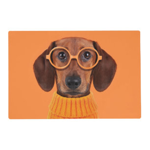 Cutest Baby Animals   Dachshund Orange Sweater Placemat