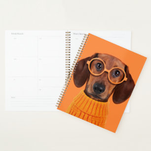 Cutest Baby Animals Dachshund Orange Sweater Planner