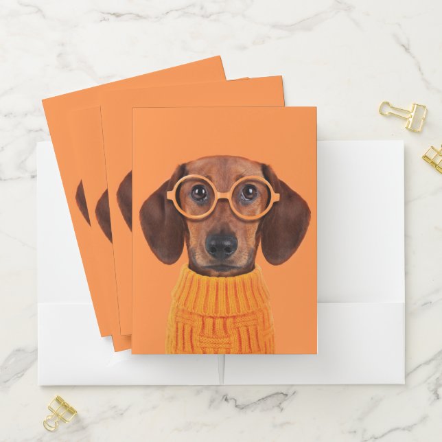 Cutest Baby Animals | Dachshund Orange Sweater Pocket Folder (In Situ)