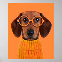 Cutest Baby Animals | Dachshund Orange Sweater