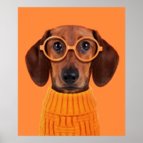 Cutest Baby Animals  Dachshund Orange Sweater Poster