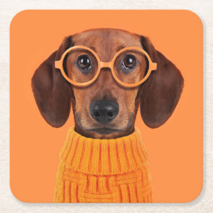 Cutest Baby Animals   Dachshund Orange Sweater Square Paper Coaster