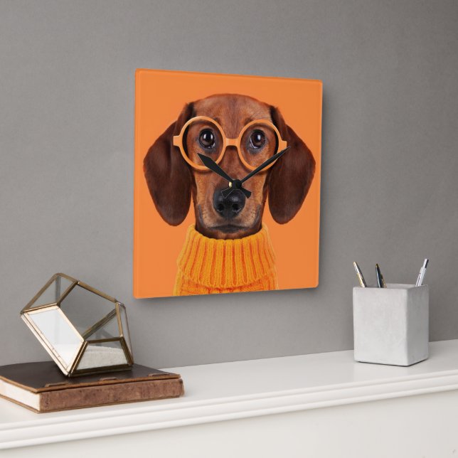 Cutest Baby Animals | Dachshund Orange Sweater Square Wall Clock (Office)