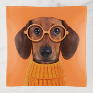 Cutest Baby Animals   Dachshund Orange Sweater Trinket Tray