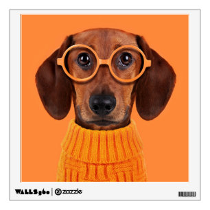 Cutest Baby Animals Dachshund Orange Sweater Wall Decal