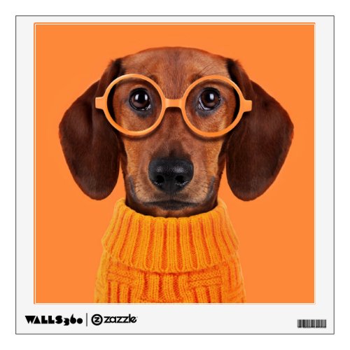 Cutest Baby Animals  Dachshund Orange Sweater Wall Decal