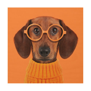 Cutest Baby Animals Dachshund Orange Sweater Wood Wall Art