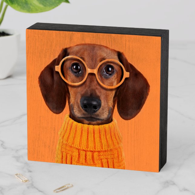 Cutest Baby Animals | Dachshund Orange Sweater Wooden Box Sign (In Situ Horizontal)