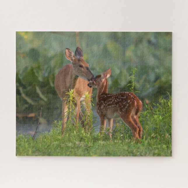Cutest Baby Animals | Deer and Baby Jigsaw Puzzle (Horizontal)