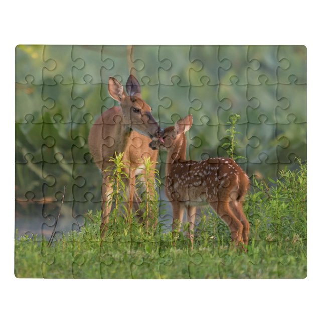 Cutest Baby Animals | Deer and Baby Jigsaw Puzzle (Puzzle Horizontal)