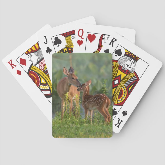 Cutest Baby Animals | Deer and Baby Poker Cards (Back)