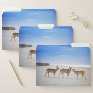 Cutest Baby Animals Deer at the Beach File Folder