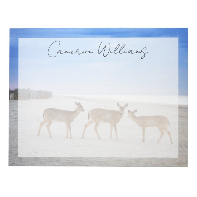 Cutest Baby Animals | Deer at the Beach Notepad (Front)
