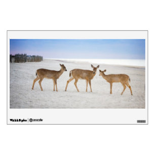 Cutest Baby Animals   Deer at the Beach Wall Decal