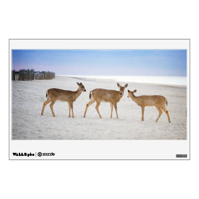 Cutest Baby Animals | Deer at the Beach Wall Decal (Front)