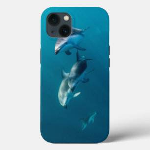 Cutest Baby Animals Dolphin Family iPhone 13 Case