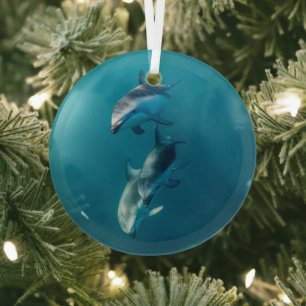 Cutest Baby Animals Dolphin Family Glass Ornament