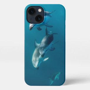 Cutest Baby Animals Dolphin Family iPhone 13 Case