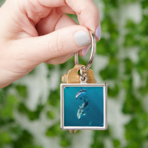Cutest Baby Animals Dolphin Family Keychain