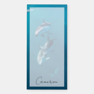Cutest Baby Animals Dolphin Family Magnetic Notepad