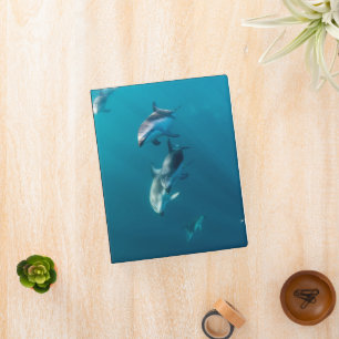 Cutest Baby Animals Dolphin Family Mini Binder