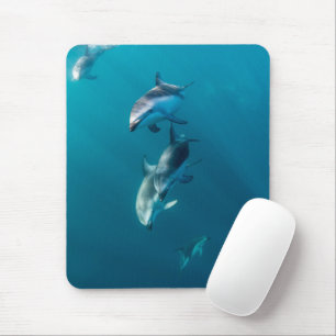 Cutest Baby Animals Dolphin Family Mouse Pad