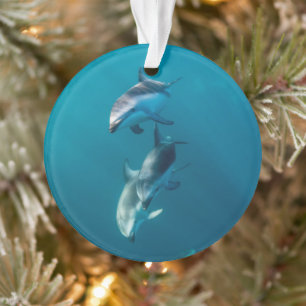 Cutest Baby Animals Dolphin Family Ornament