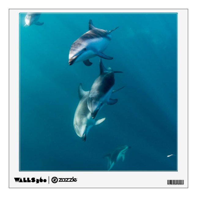 Cutest Baby Animals | Dolphin Family Wall Decal (Front)