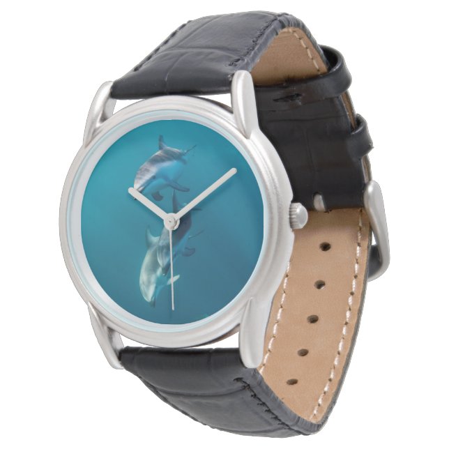 Cutest Baby Animals | Dolphin Family Watch (Angled)
