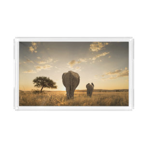 Cutest Baby Animals Elephant Calf & Mother Acrylic Tray