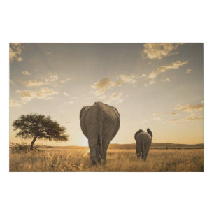Cutest Baby Animals   Elephant Calf & Mother Faux Canvas Print