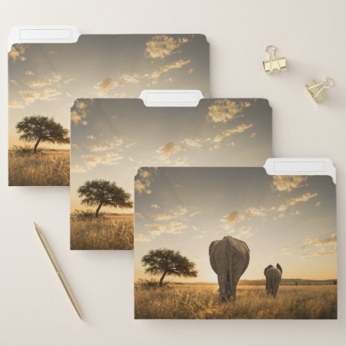 Cutest Baby Animals  Elephant Calf  Mother File Folder